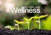 Calatoriile de wellness sunt in crestere